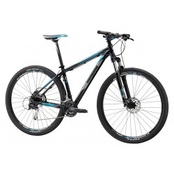 29 MTB
