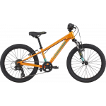 CANNONDALE 20" TRAIL