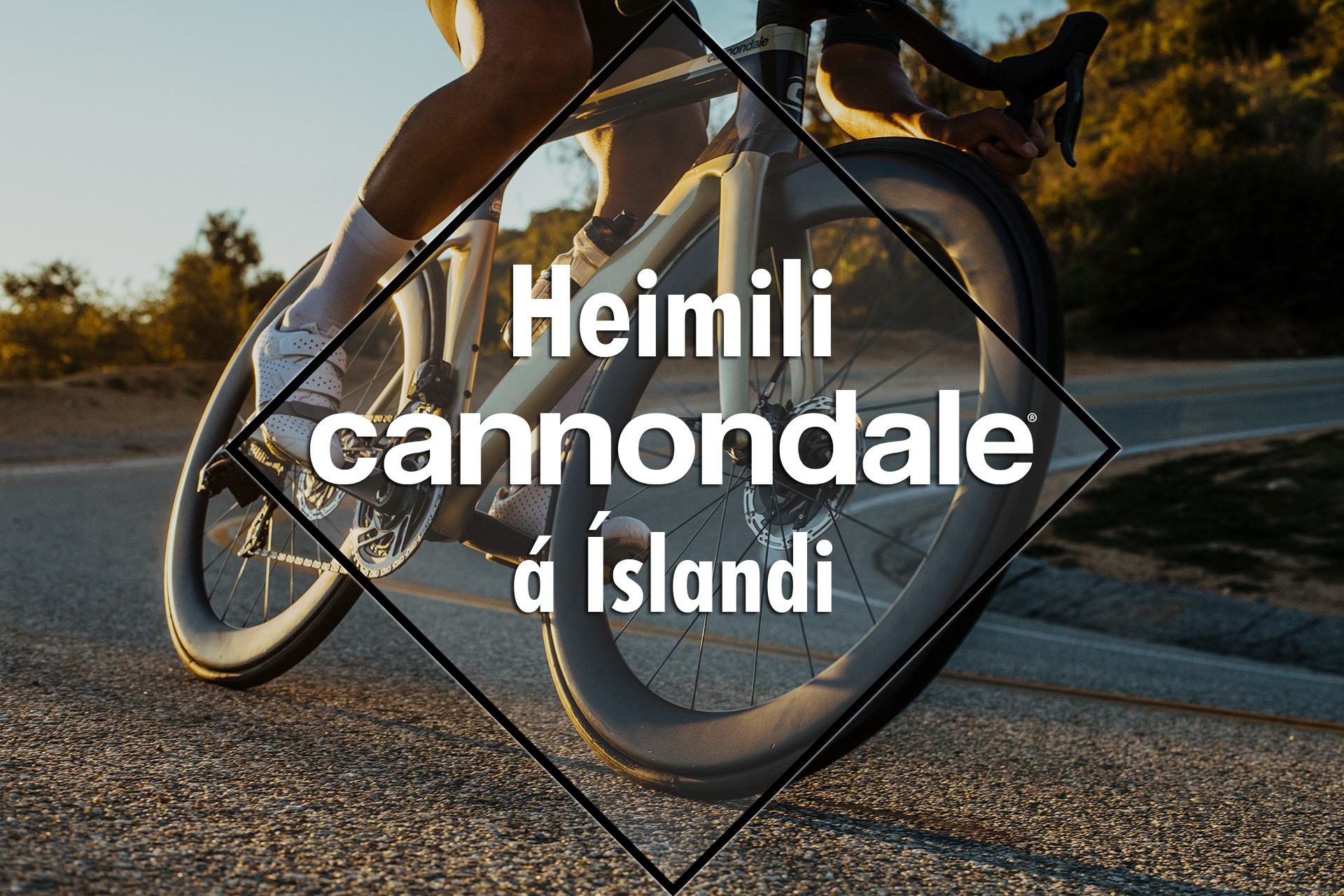 Cannondale